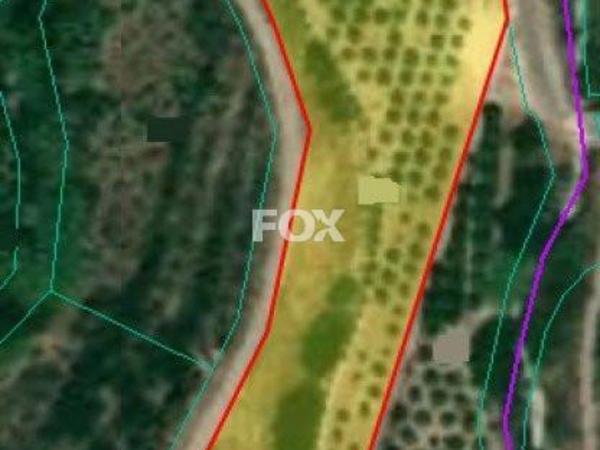 land for sale prodromi paphos 1159184 image 5519137