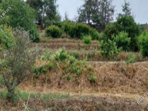 plot for sale kakopetria nicosia 1794184 image 16168156