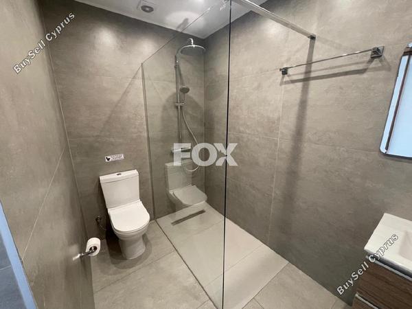studio office for rent paphos municipality paphos 8343184 image 15988467