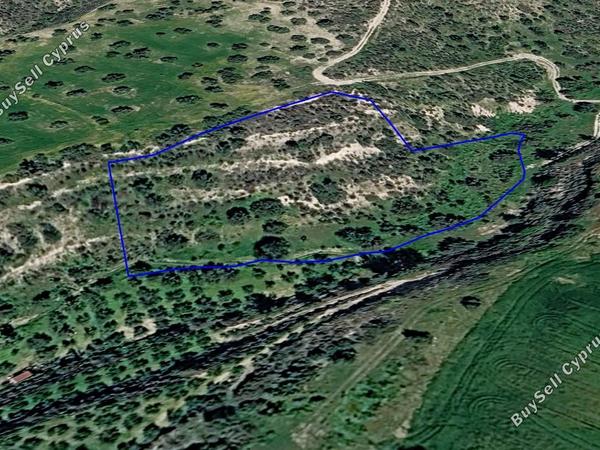 land for sale kalavasos larnaca 8791284 image 16672531