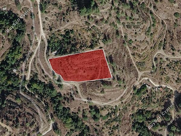 land for sale pelendri limassol 8670284 image 16530145