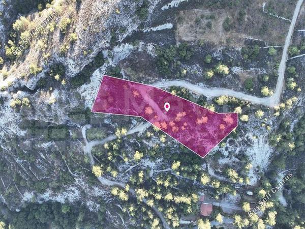 land for sale pera pedi limassol 8434284 image 15007330