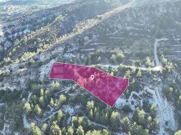 land for sale pera pedi limassol 8434284 image 15007339