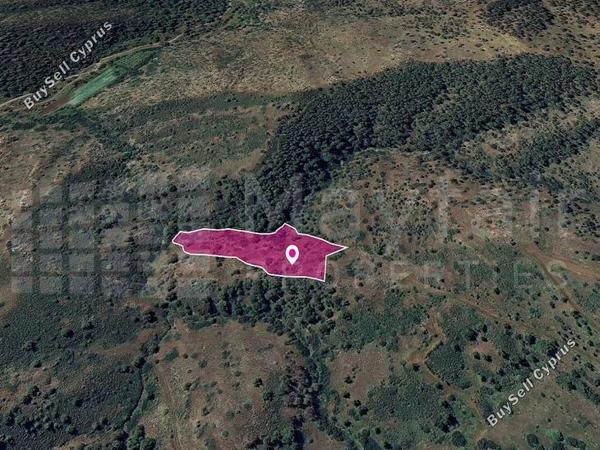 land for sale pigenia nicosia 7872284 image 14116001