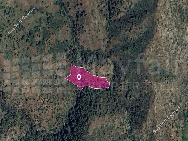 land for sale pigenia nicosia 7872284 image 14116006