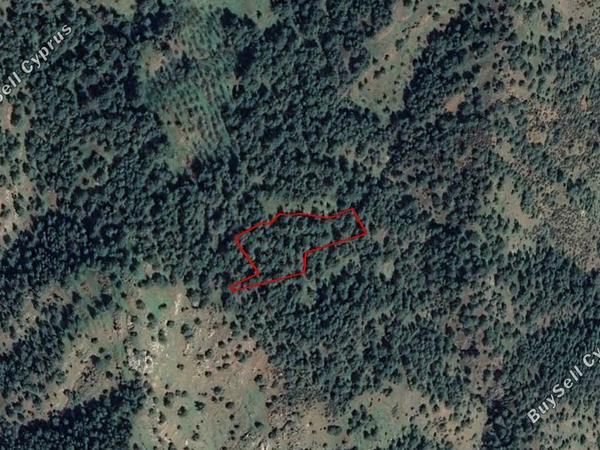 land for sale pigenia nicosia 830284 image 12843188