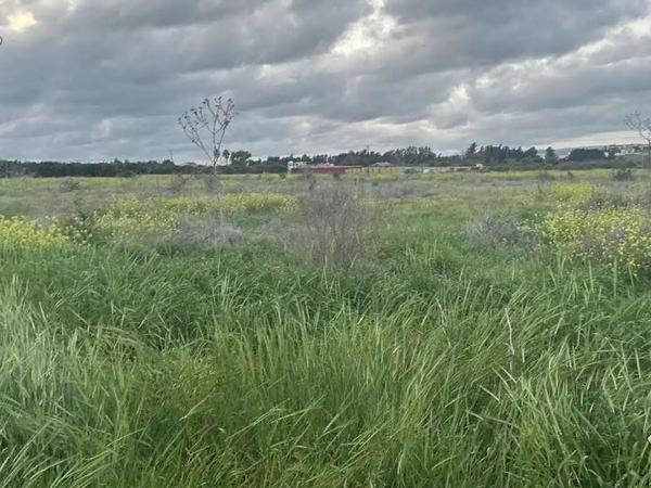 land for sale trachoni lemesou limassol 1883284 image 7045101
