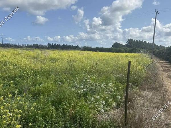 land for sale trachoni lemesou limassol 1883284 image 7045103