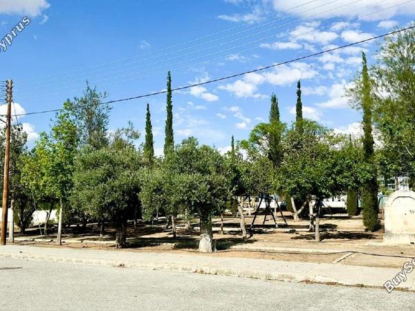 4 bedroom detached house for sale aglantzia nicosia 8746384 image 16537520