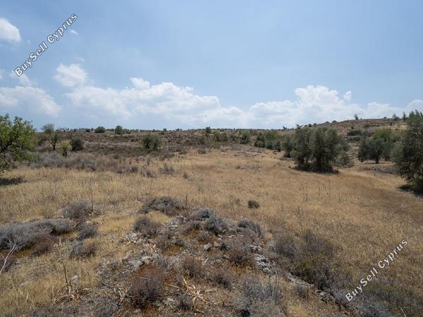 land for sale agrokipia nicosia 946384 image 6983111