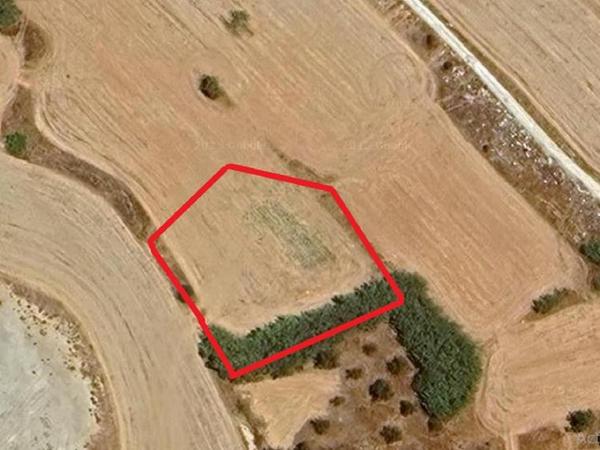 land for sale frenaros famagusta 1809384 image 13141538