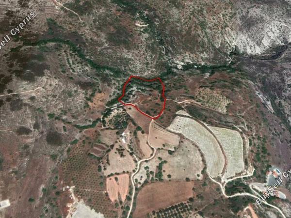 land for sale tsada paphos 828384 image 15177672