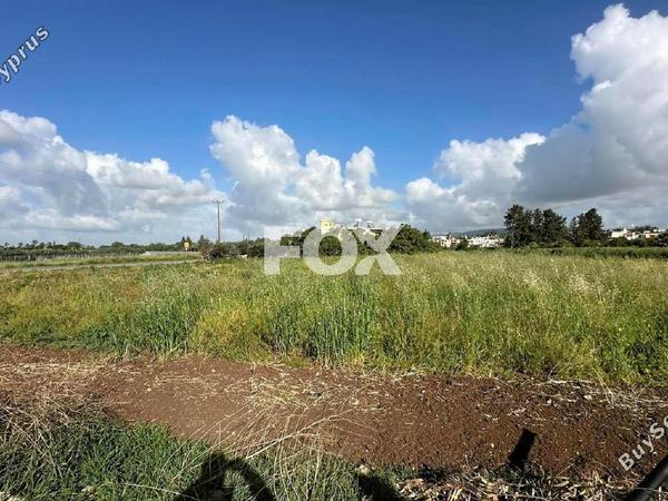 studio mixed use project for sale timi paphos 1316384 image 16673523