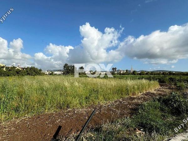 studio mixed use project for sale timi paphos 1316384 image 16673525