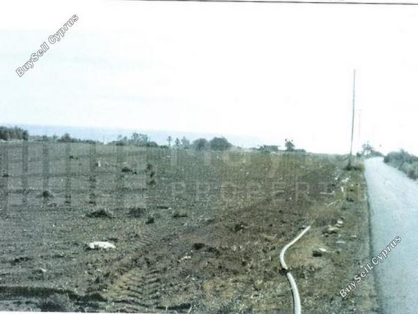 land for sale agios theodoros larnacas larnaca 7870484 image 11377923