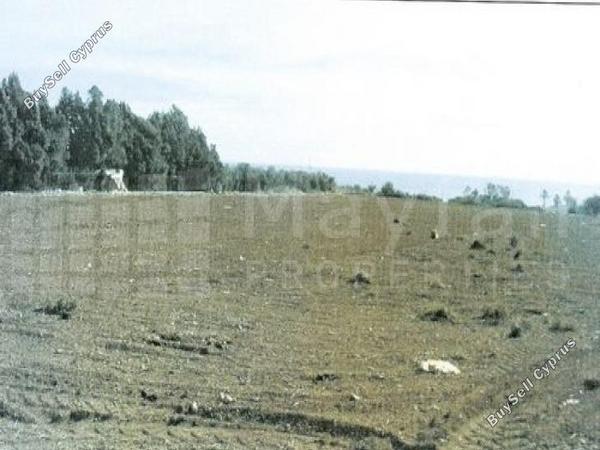 land for sale agios theodoros larnacas larnaca 7870484 image 11377924