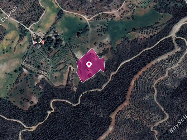 land for sale kofinou larnaca 1057484 image 2427802