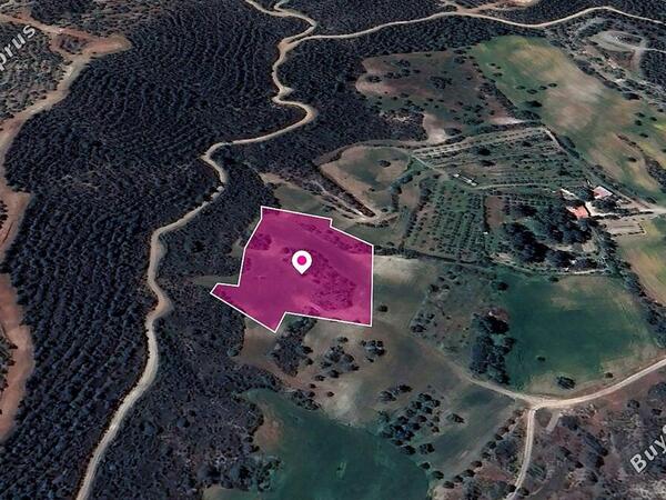 land for sale kofinou larnaca 1057484 image 2427810