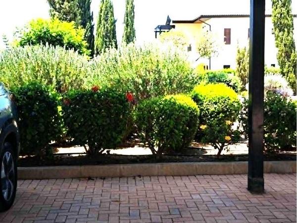 2 bedroom apartment for rent aphrodite hills paphos 8902584 image 17365885