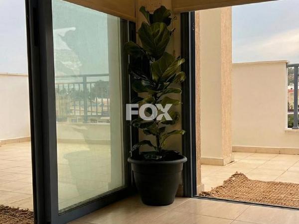 2 bedroom apartment for sale geroskipou paphos 7957584 image 11402705