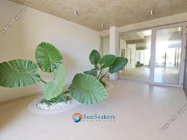 3 bedroom penthouse for sale kato paphos paphos 8529584 image 15928739