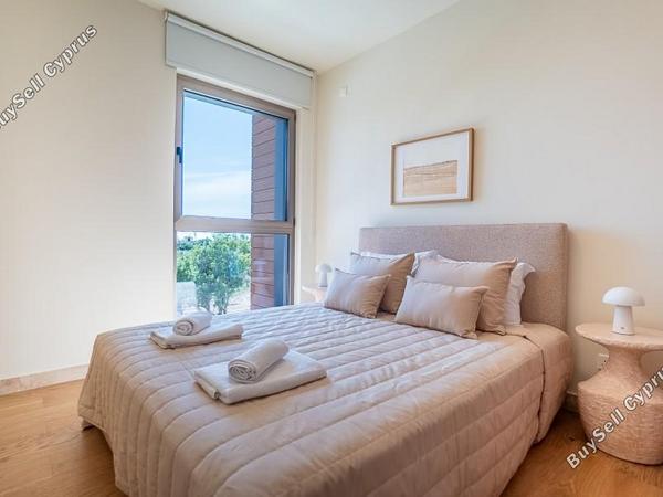 3 bedroom semi detached house for rent emba paphos 8791584 image 16930615