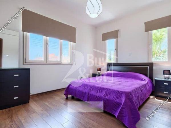 6 bedroom detached house for sale kato paphos universal paphos 1667584 image 12583785