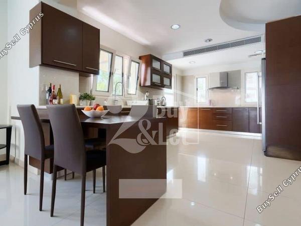 6 bedroom detached house for sale kato paphos universal paphos 1667584 image 12583792