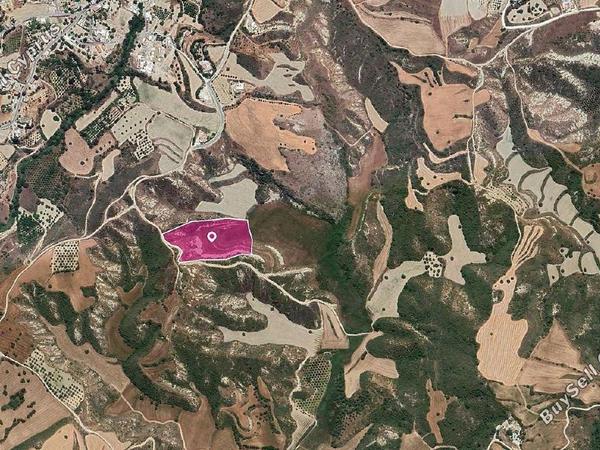 land for sale steni paphos 1897584 image 14206548