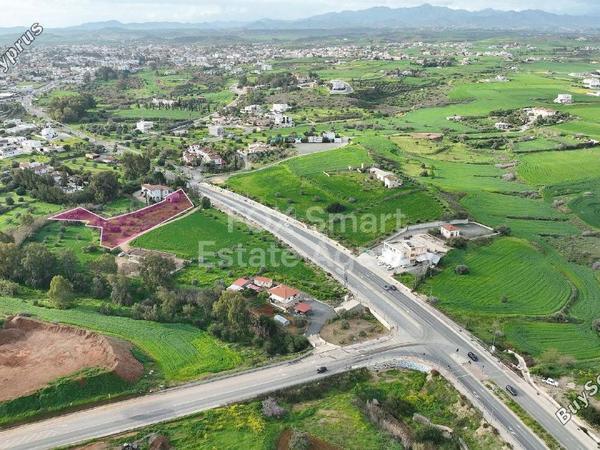land for sale tseri nicosia 8260584 image 13921734