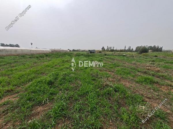 land for sale mandria pafou paphos 8450684 image 15084045