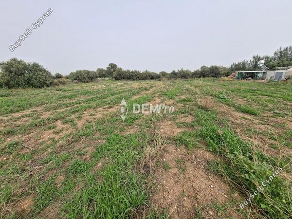 land for sale mandria pafou paphos 8450684 image 15084046