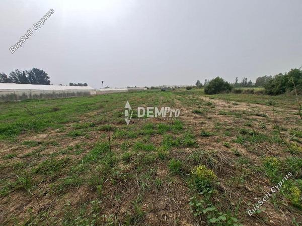 land for sale mandria pafou paphos 8450684 image 15084047