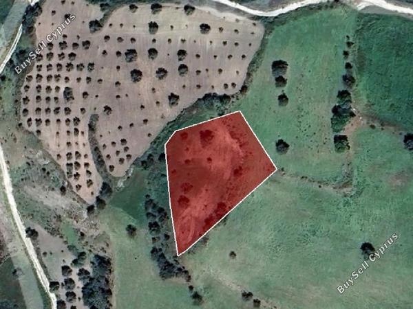 land for sale fyti paphos 945784 image 15598759