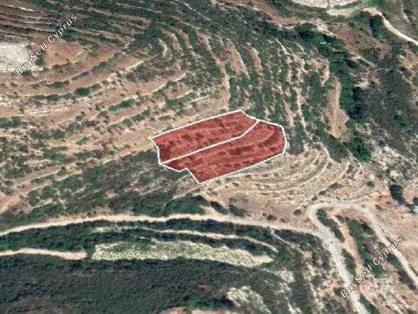 land for sale koilani limassol 8630784 image 16530708