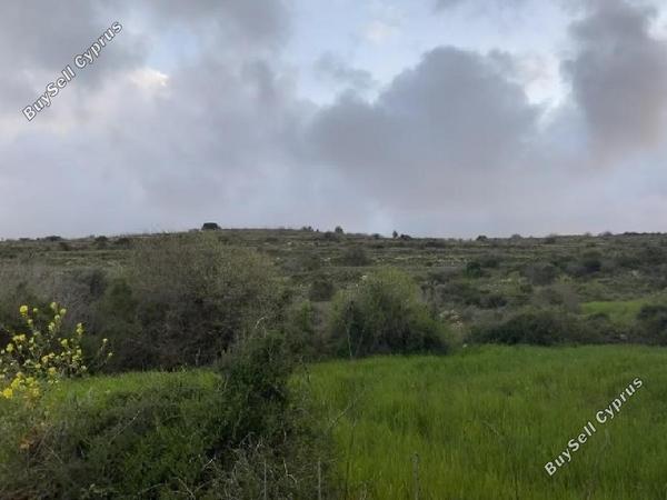 land for sale kritou tera paphos 1800884 image 15597954