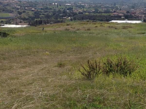 land for sale pyrgos limassol limassol 855884 image 723263