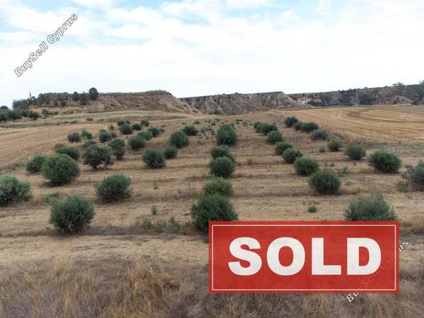 land sold pera orinis nicosia 1153884 image 5493973