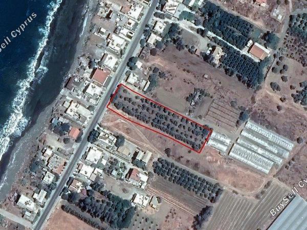 plot for sale agia marina chrysochous paphos 1682884 image 10362219