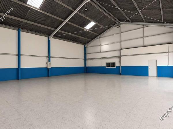 studio building for rent zakaki limassol 8776884 image 16620626