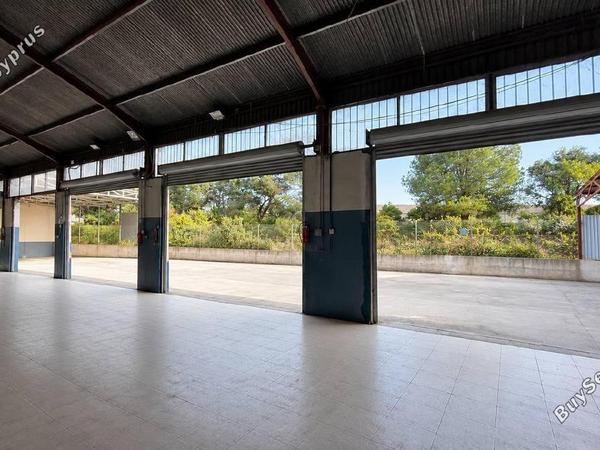 studio building for rent zakaki limassol 8776884 image 16620629