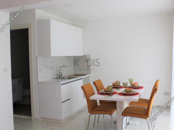 2 bedroom apartment for rent potamos germasogeias limassol 8639984 image 15912084