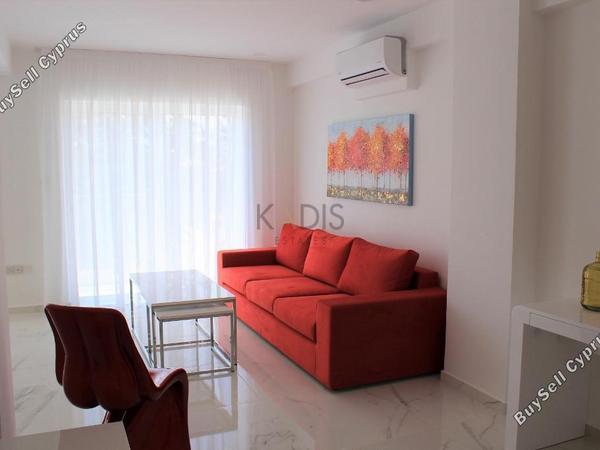 2 bedroom apartment for rent potamos germasogeias limassol 8639984 image 15912086