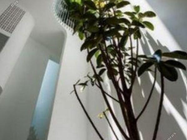 3 bedroom apartment for sale makedonitissa nicosia 1747984 image 11462235