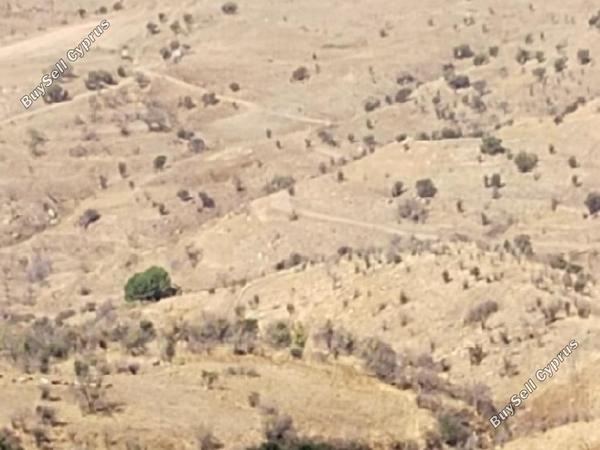 land for sale statos agios fotios paphos 1594984 image 15597990