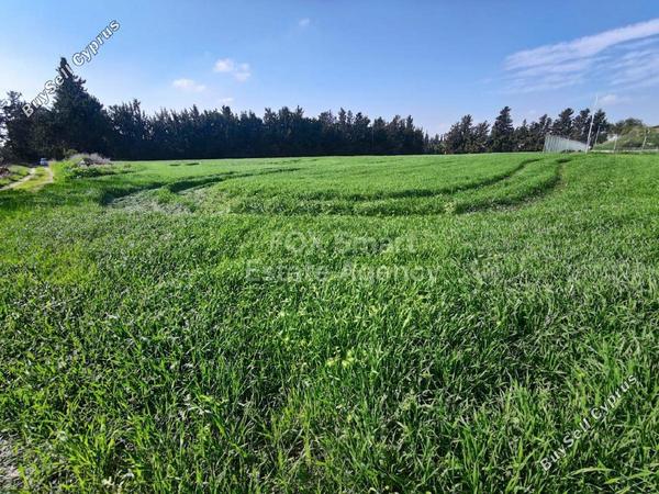 plot for sale larnaca municipality larnaca 8403984 image 14873880