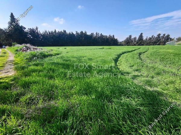 plot for sale larnaca municipality larnaca 8403984 image 14873884