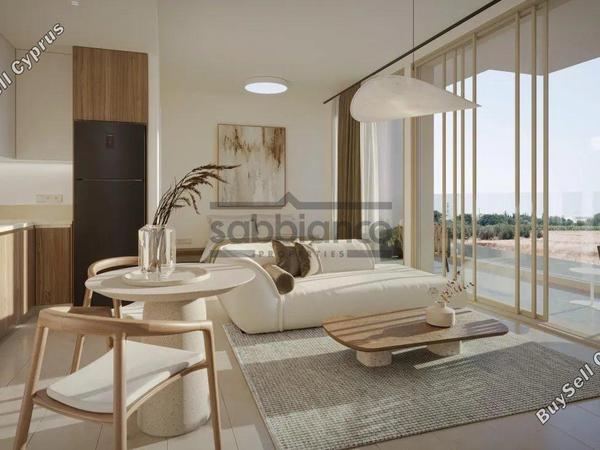 1 bedroom apartment for sale emba paphos 8752094 image 16498579