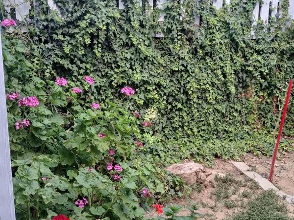 3 bedroom detached house for sale strovolos nicosia 8139094 image 13385363