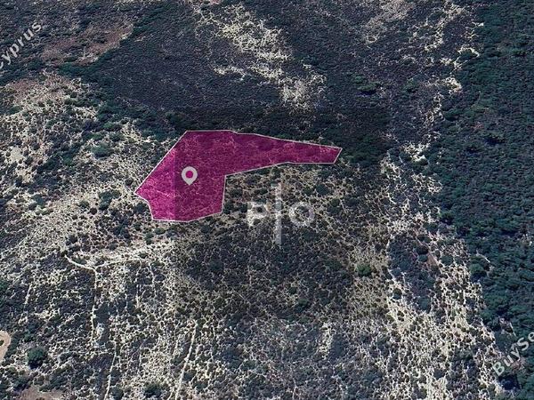 land for sale anogyra limassol 8275094 image 15157458